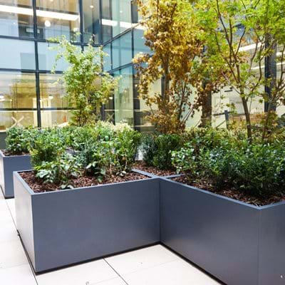 Corporate Roof Garden 